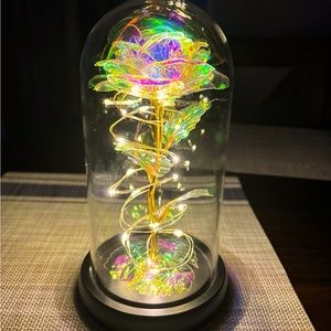 Lighted Rose in Display Case
